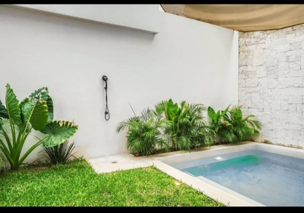 Apartment Majestic The Ultimate Luxury Oasis With Pool